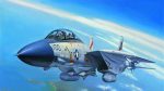 F 14A Tomcat Aereo Militare kit Hobby Boss 1-72