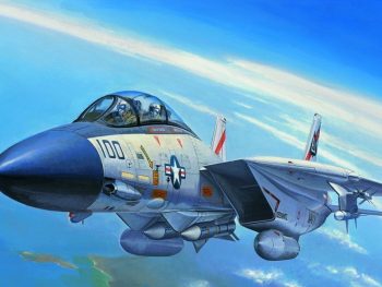 F 14A Tomcat Aereo Militare kit Hobby Boss 1-72