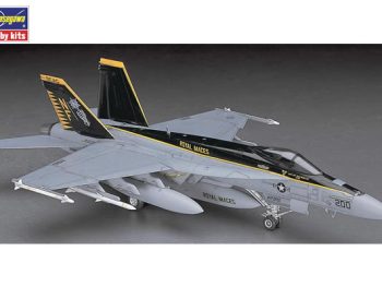 Fa 18E Super hornet 1-48 Hasegawa