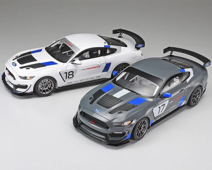 Ford Mustang GT4 kit 1-24 Tamiya