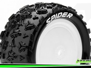 Louise Spider gomme anteriori buggy 1-10